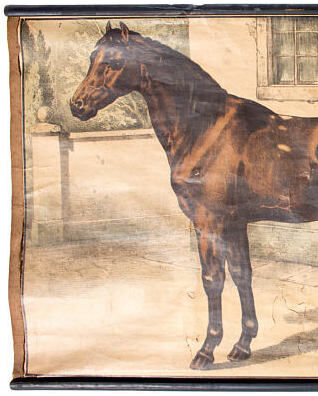 Affiche pédagogique cheval 1897
