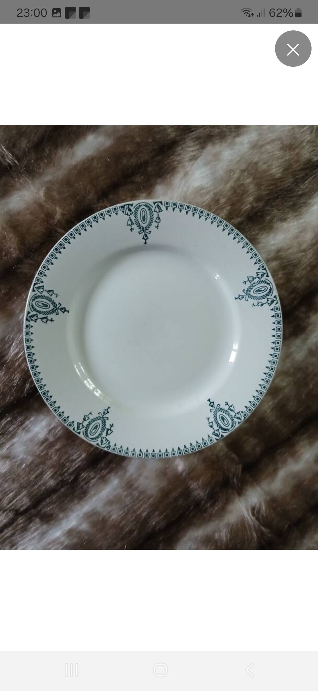10 antique flat plates in ironstone