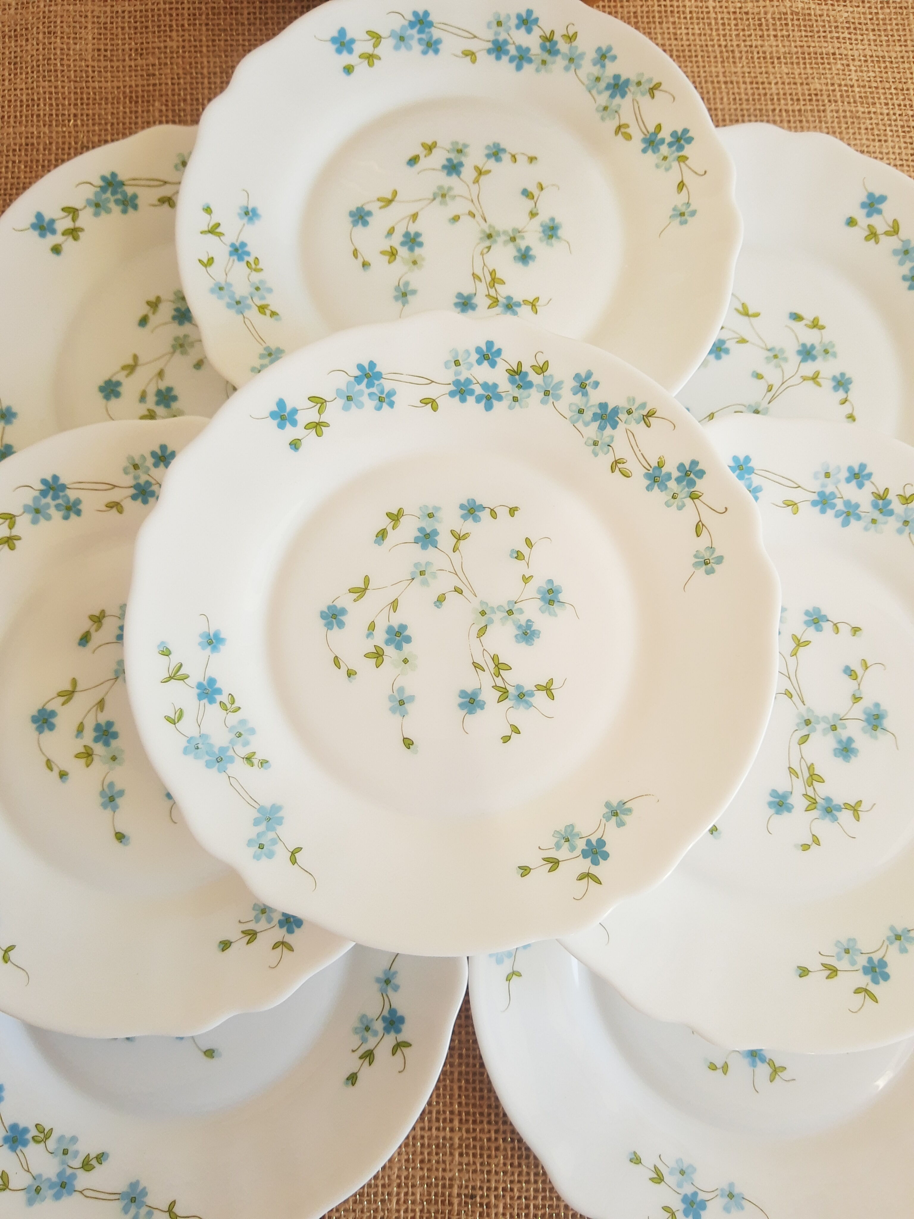 Set of 8 dessert plates Arcopal model Véronica vintage
