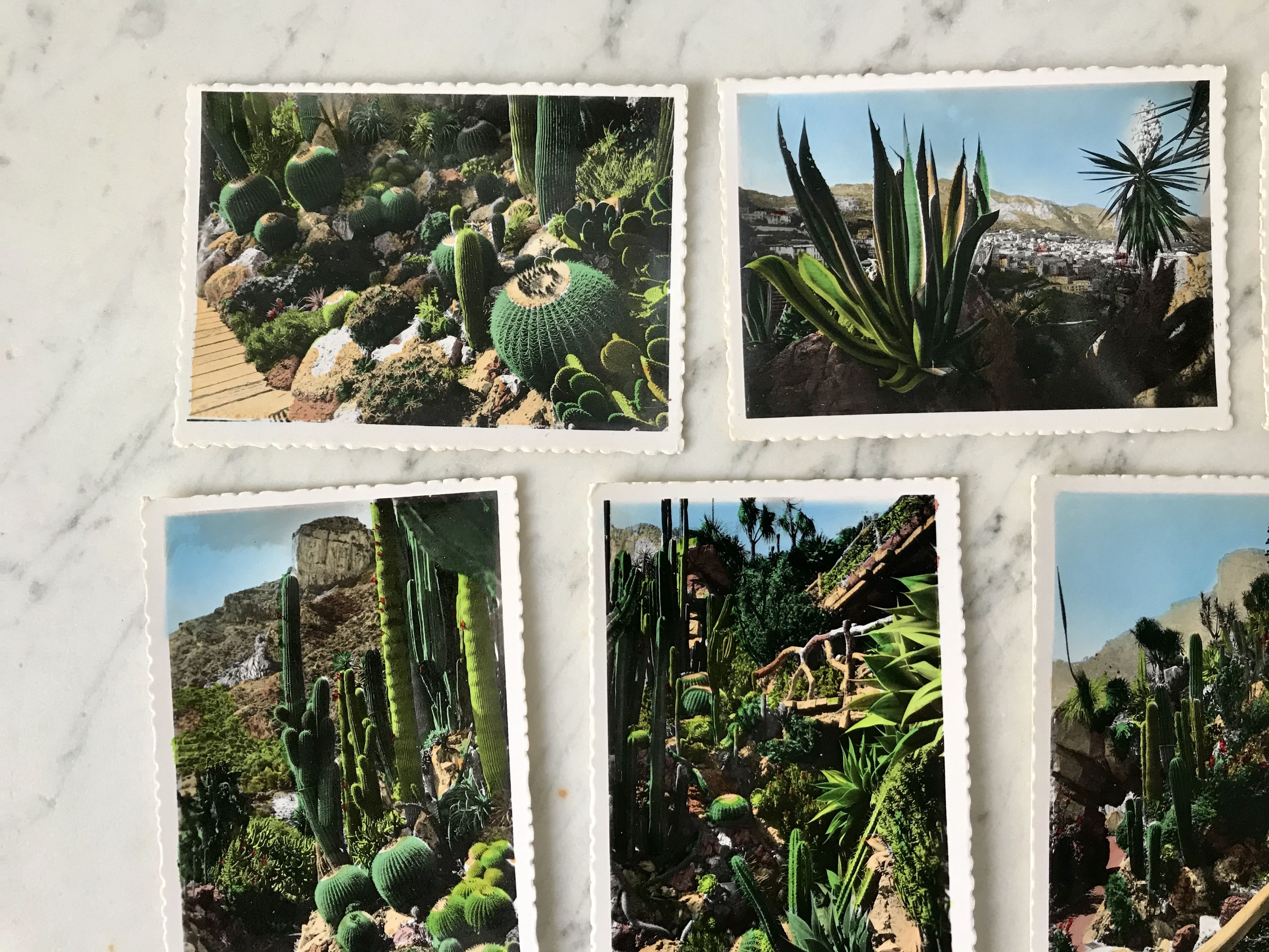 Set of 10 vintage photographs "Exotic Garden" Monaco 70s