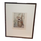 Ornithological engraving