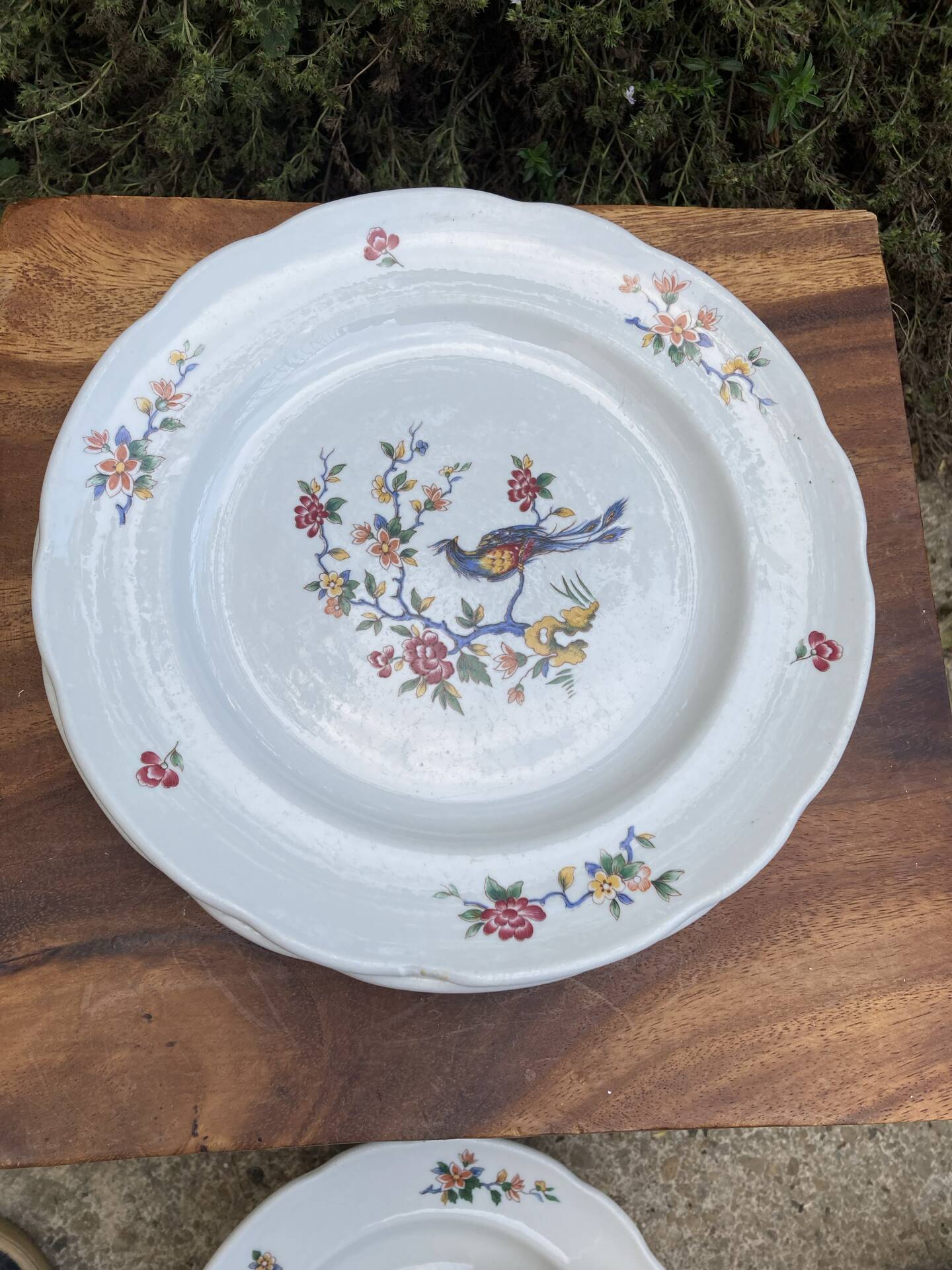 Sarreguemines plates paradise birds / Phoenix