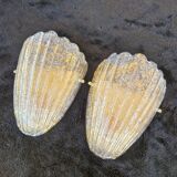 Pair of wall sconces from Murano