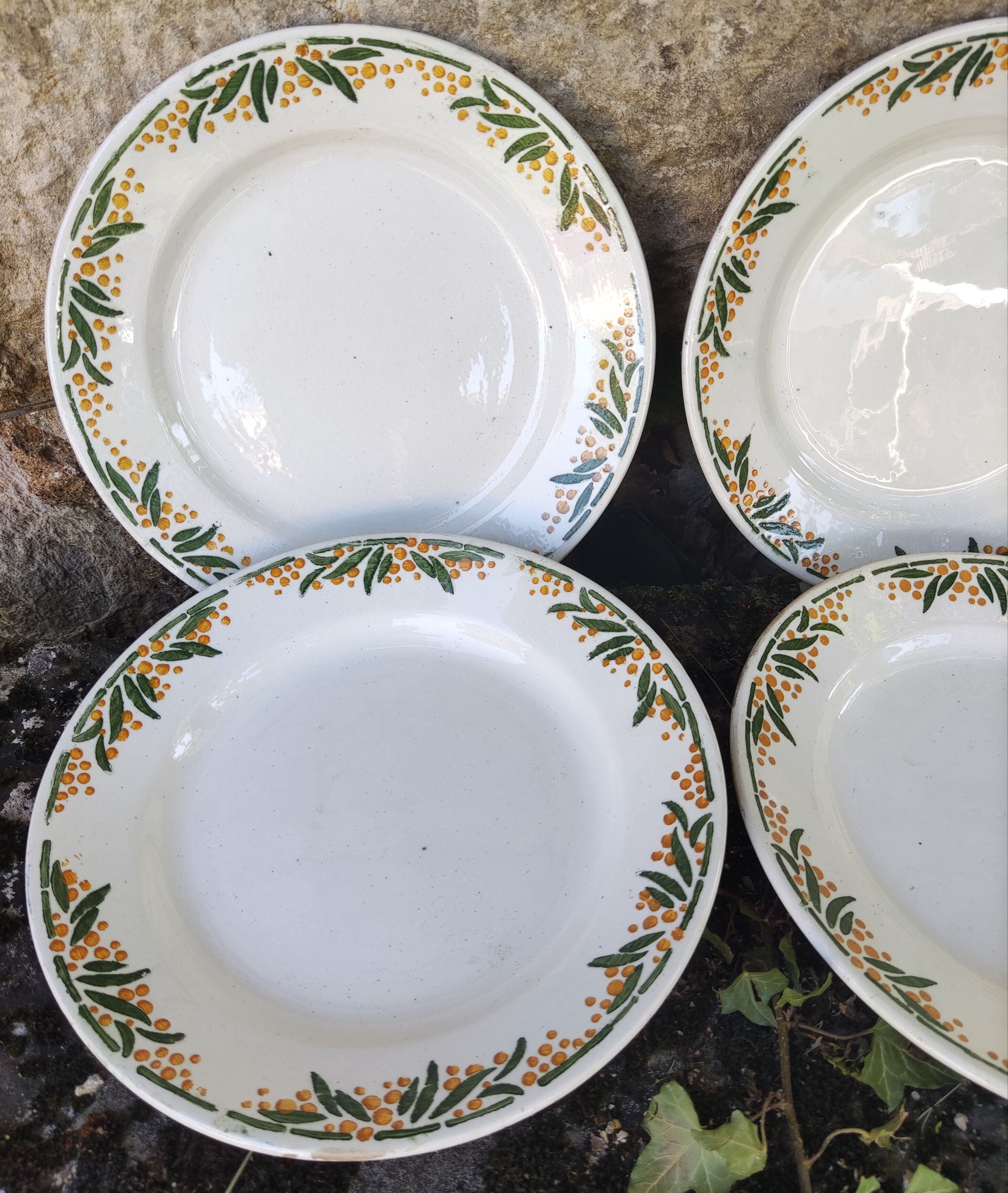 6 Mimosa HBCM dessert plates