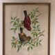 Painting printing birds