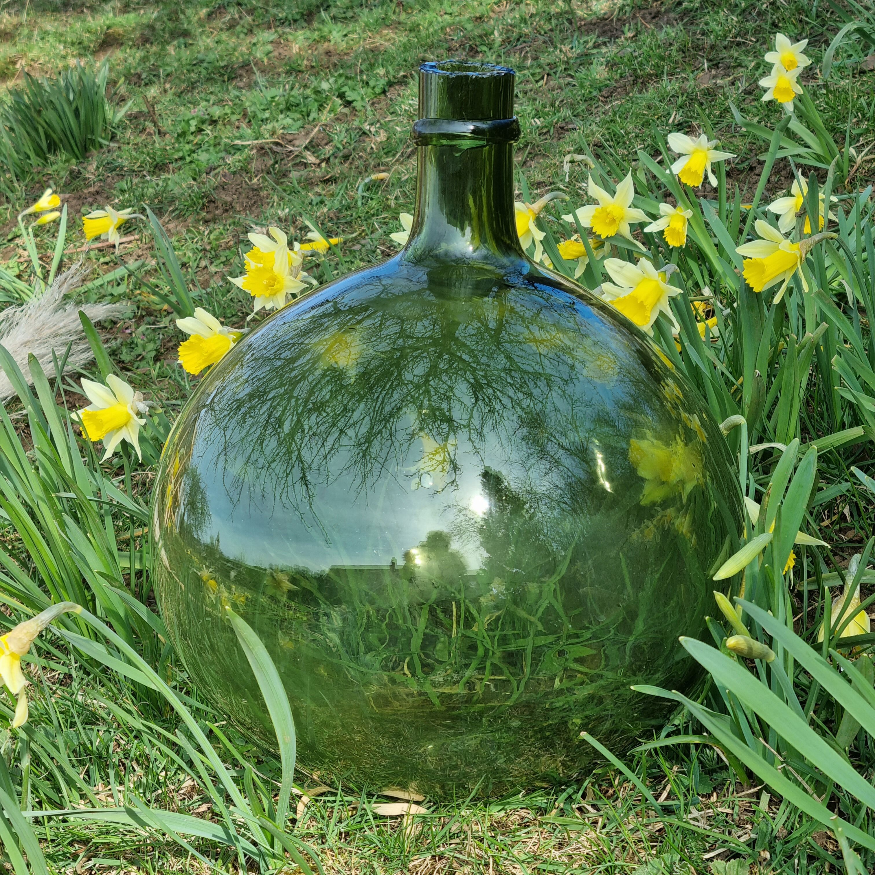 Lady jeanne green neck slashed at the end of the 19th