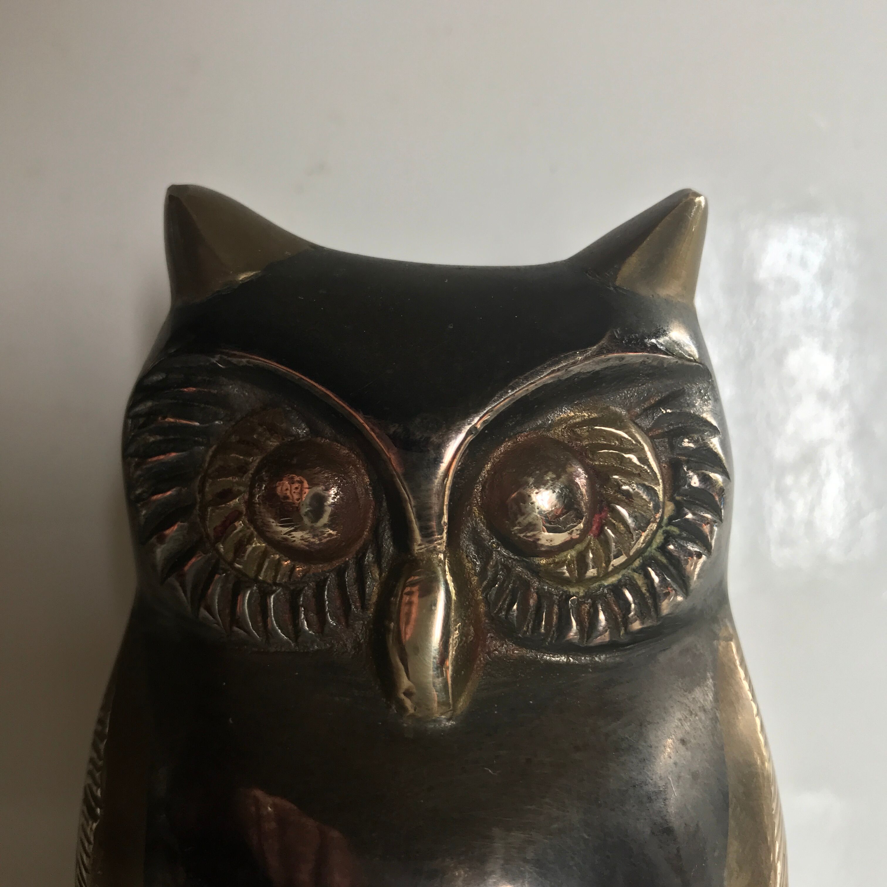 Brass bicolor owl and gun barrel