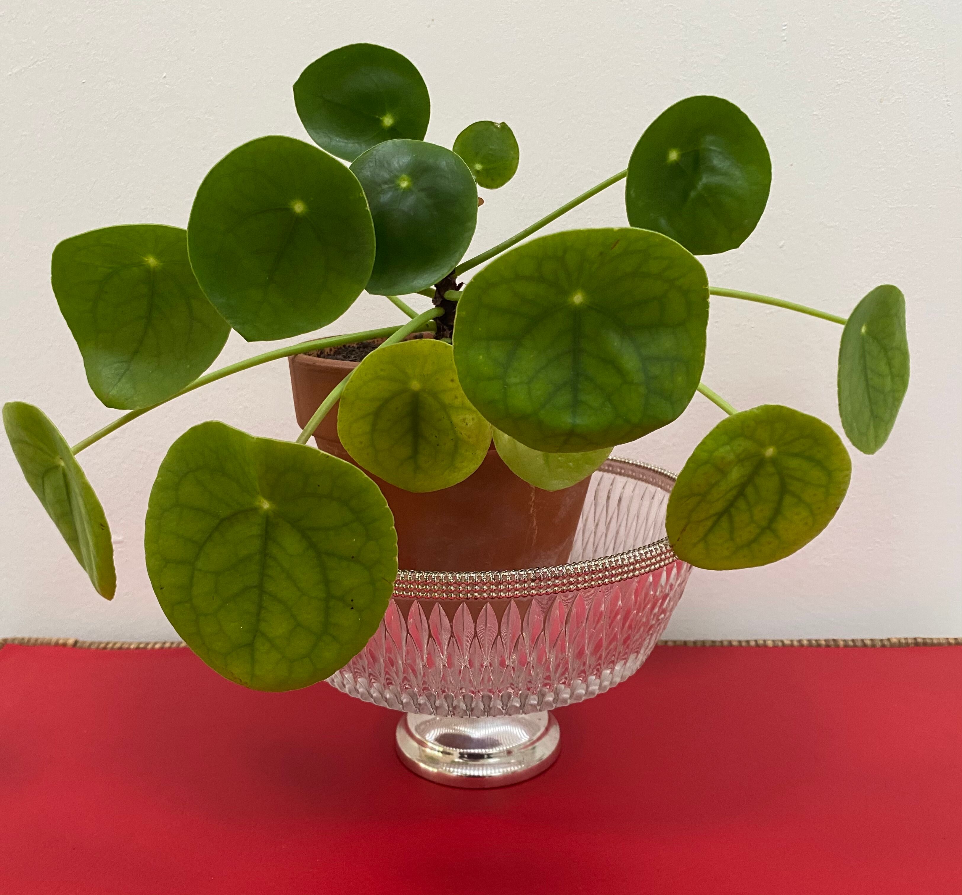 Art Deco glass cup with silver metal foot
