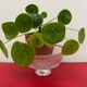 Art Deco glass cup with silver metal foot