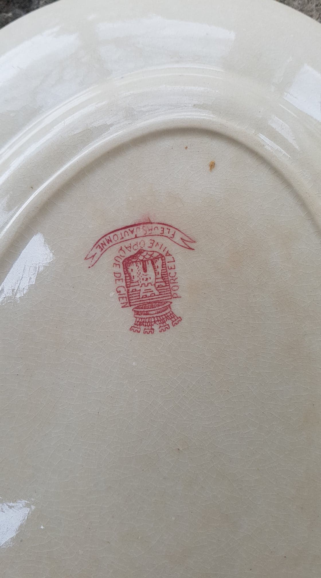 Flat Oval Gien model Autumn Flowers