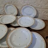 12 deep plates in Limoges porcelain
