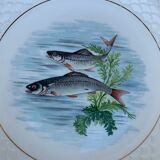 Service à poisson en Gien