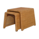 Vintage tables in rattan 1960