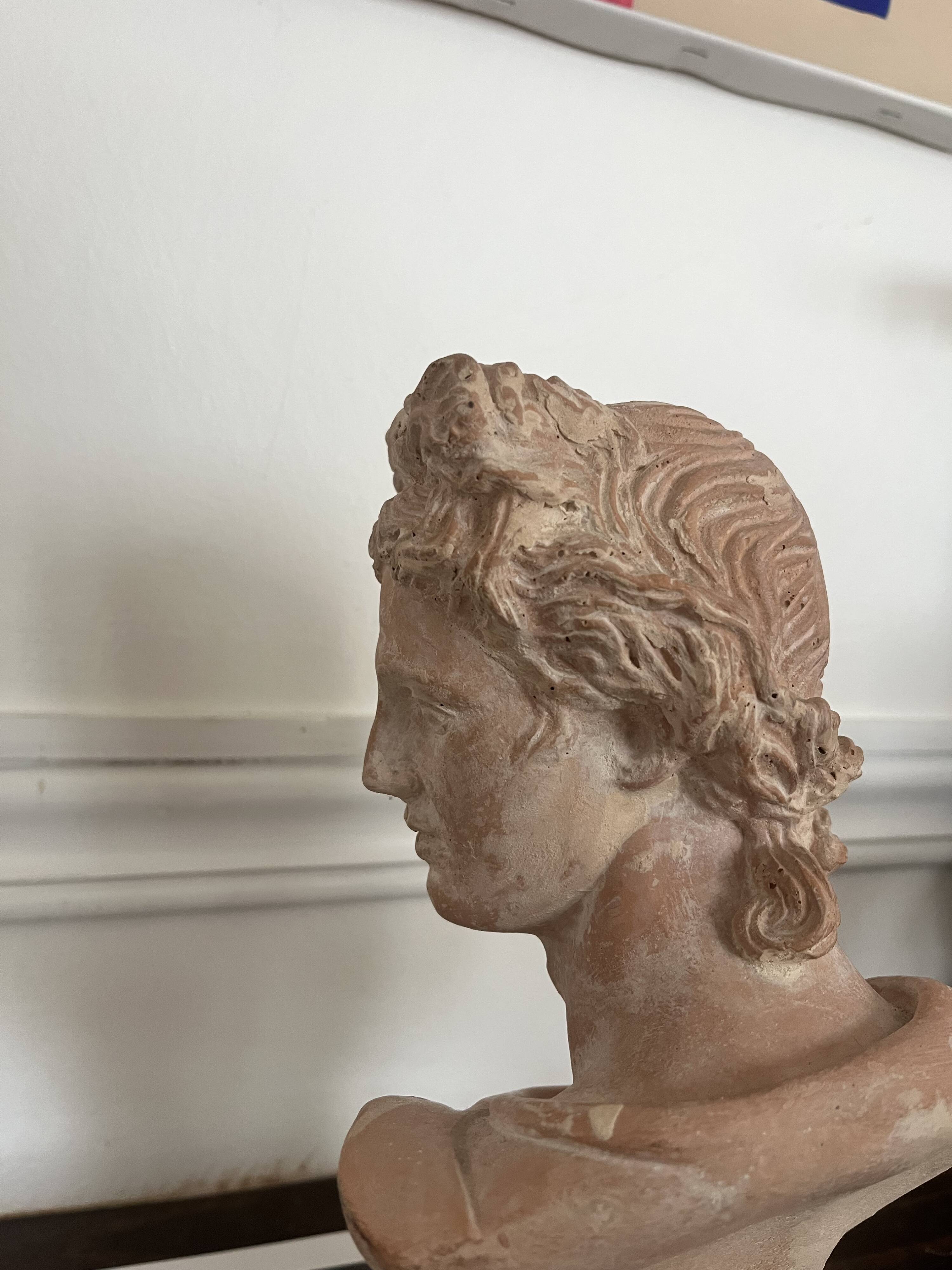 Terracotta bust of Apollo
