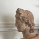 Terracotta bust of Apollo