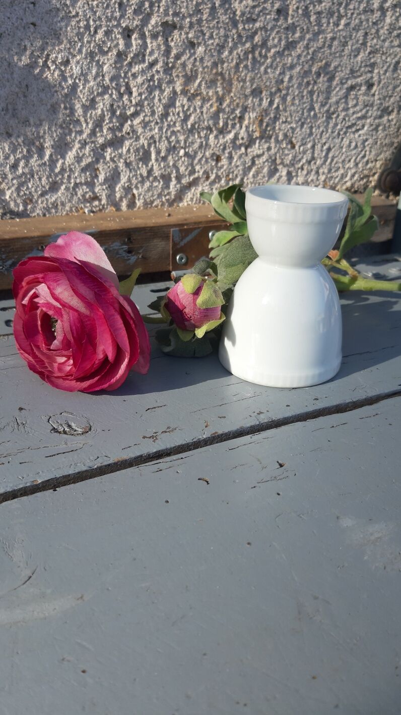 Double white porcelain cockroach