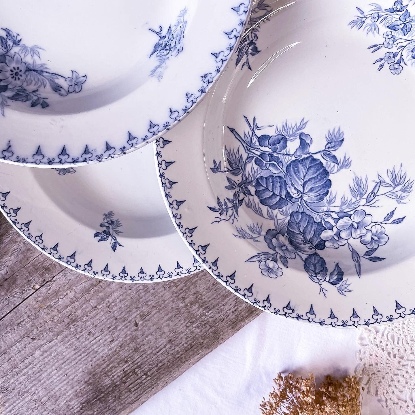 6 hollow plates iron earth model Flora