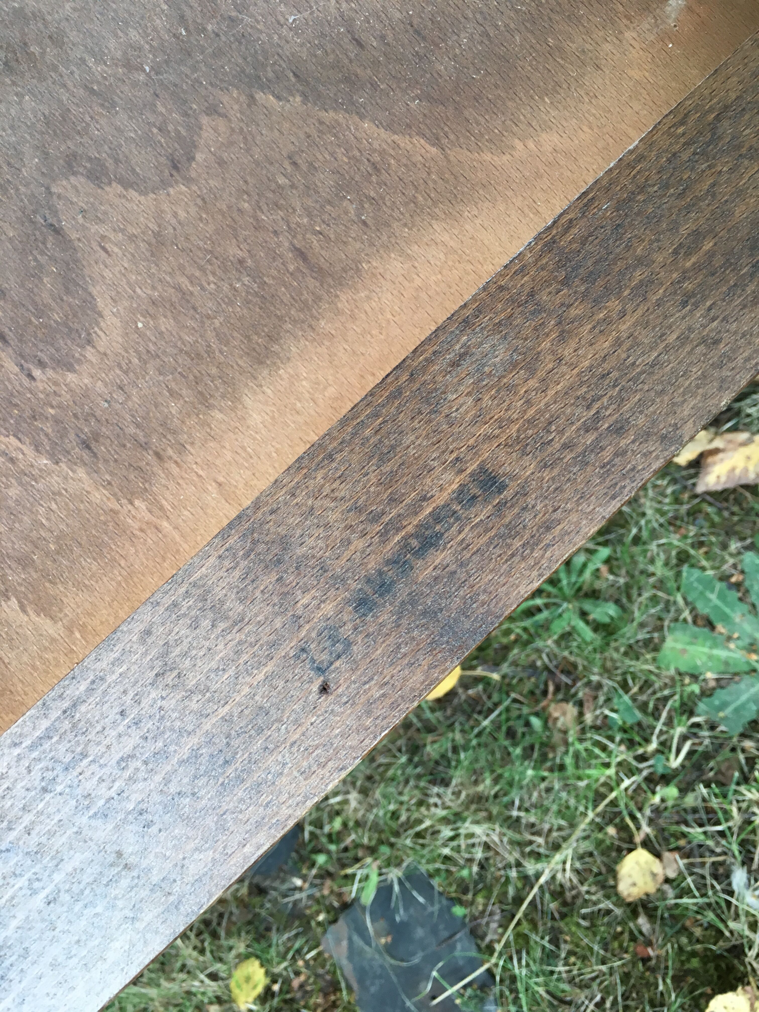 Pair of Baumann armchairs "evangelical" model