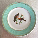 Flat plates Birds