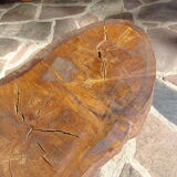 Elm tree trunk coffee table