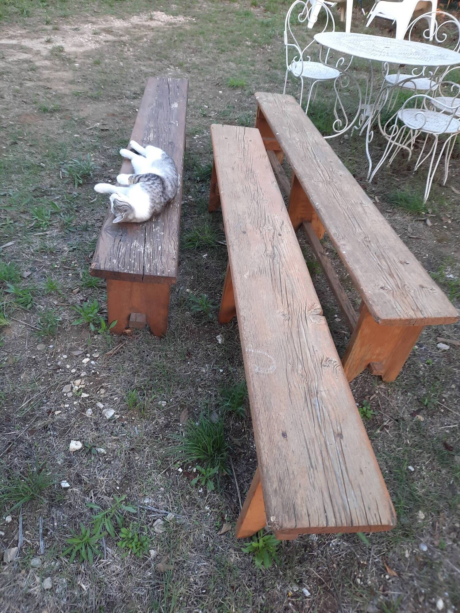 Old farm benches