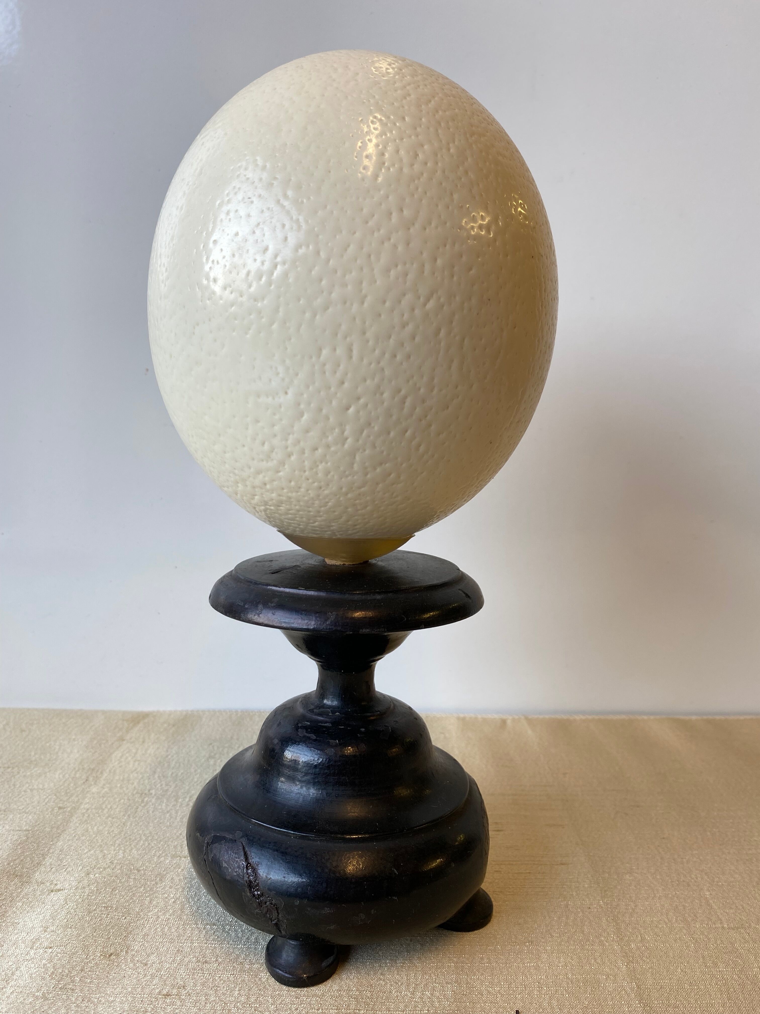 Ostrich egg on blackened wooden base