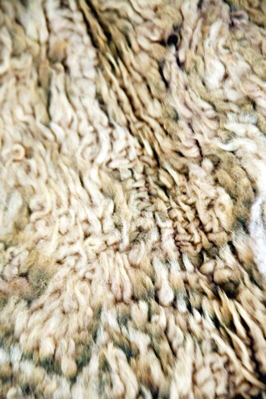 Tapis Boujaad Vintage 380 x 170 cm