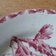 10 antique flat plates in ironstone