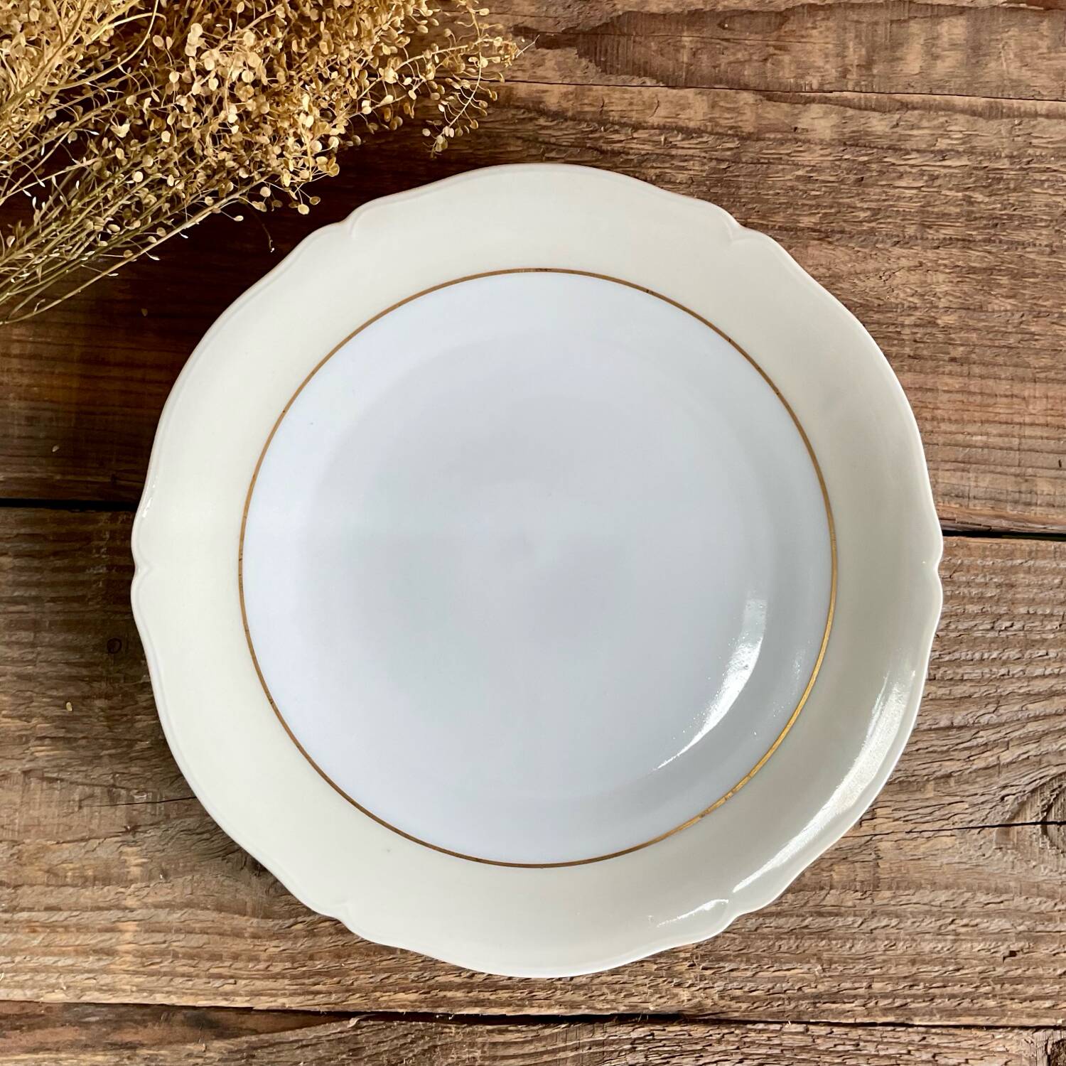 4 Limoges porcelain flat plates LEGRAND France