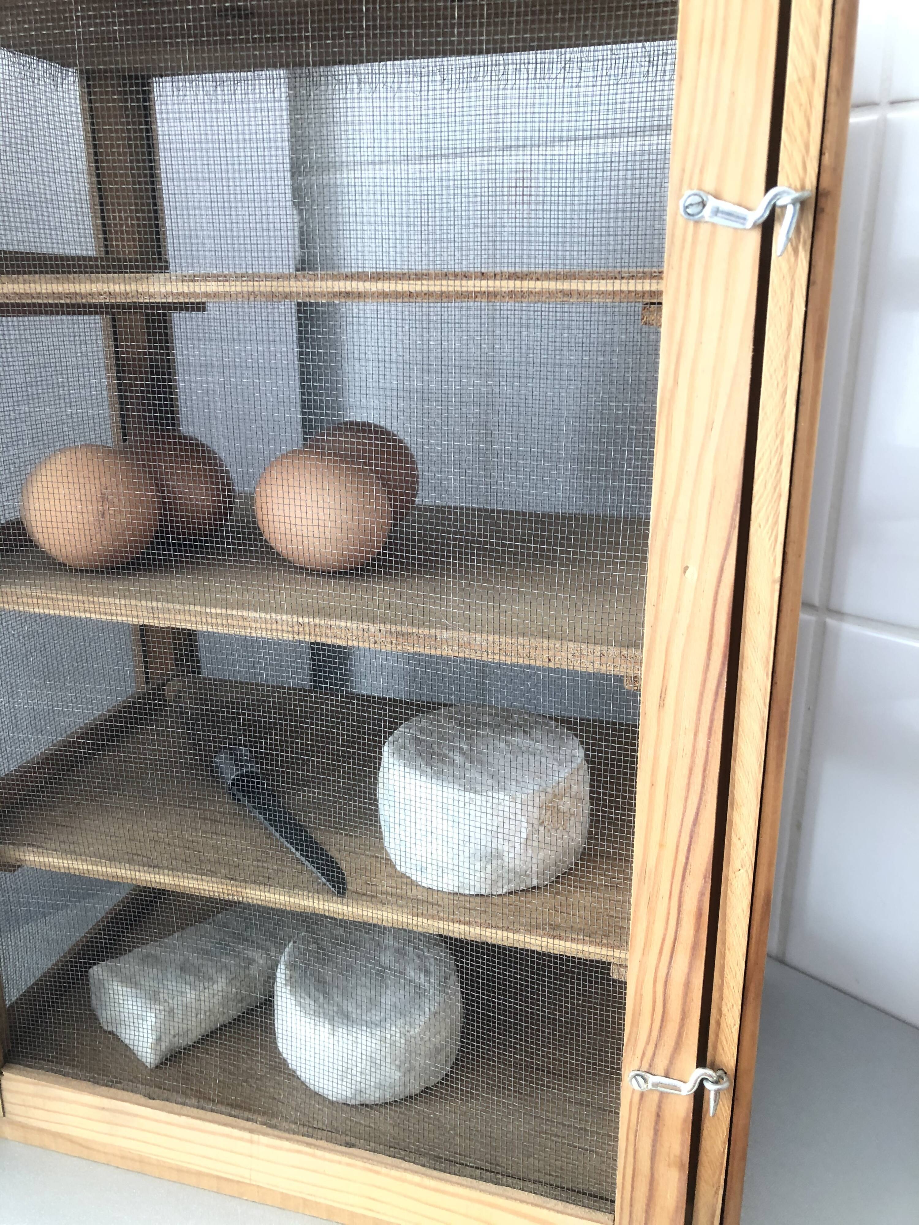 Old wood eating wareat