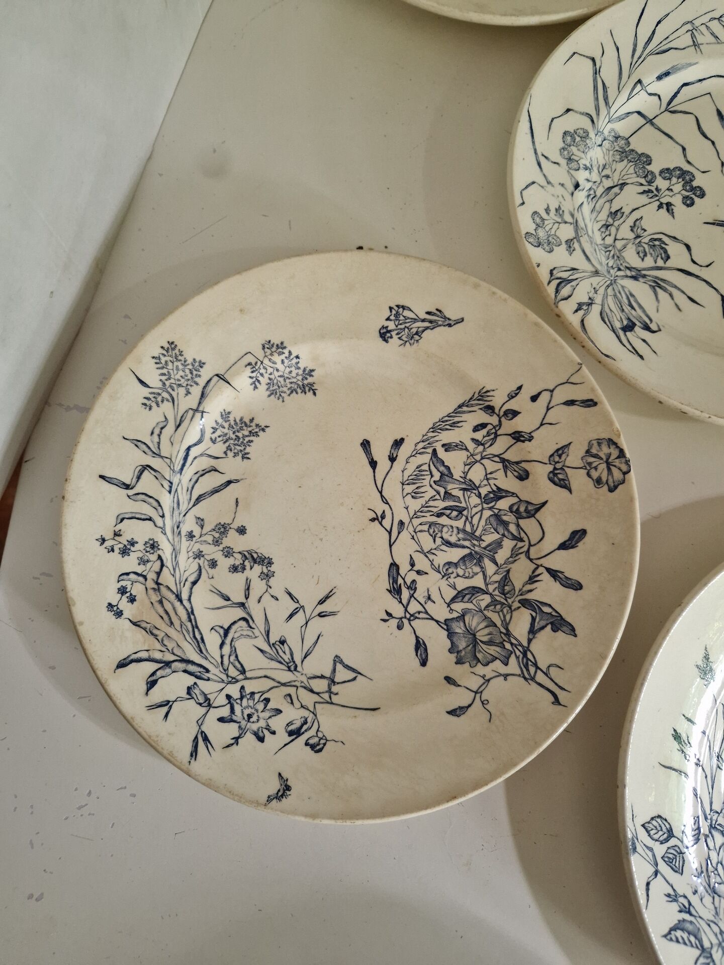 Lot De 9 Assiettes Plates Terre De Fer