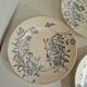 Lot De 9 Assiettes Plates Terre De Fer