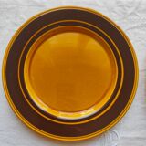 5 flat plates Staffordshire