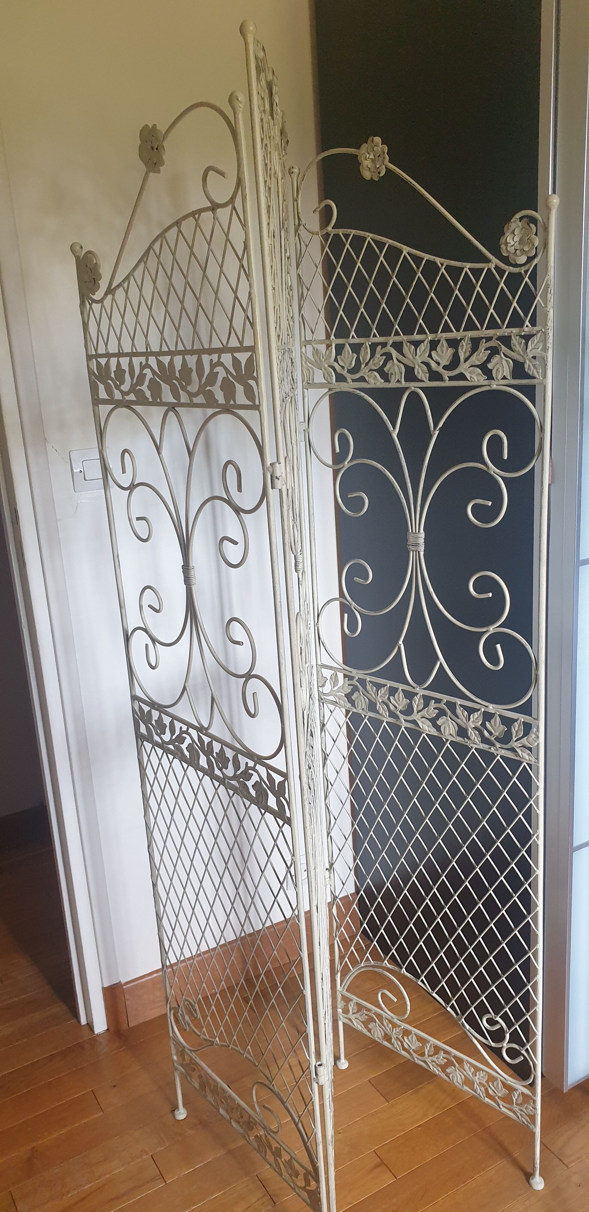 Iron screen