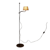 Adjustable wrought iron floor lamp, reading lamp