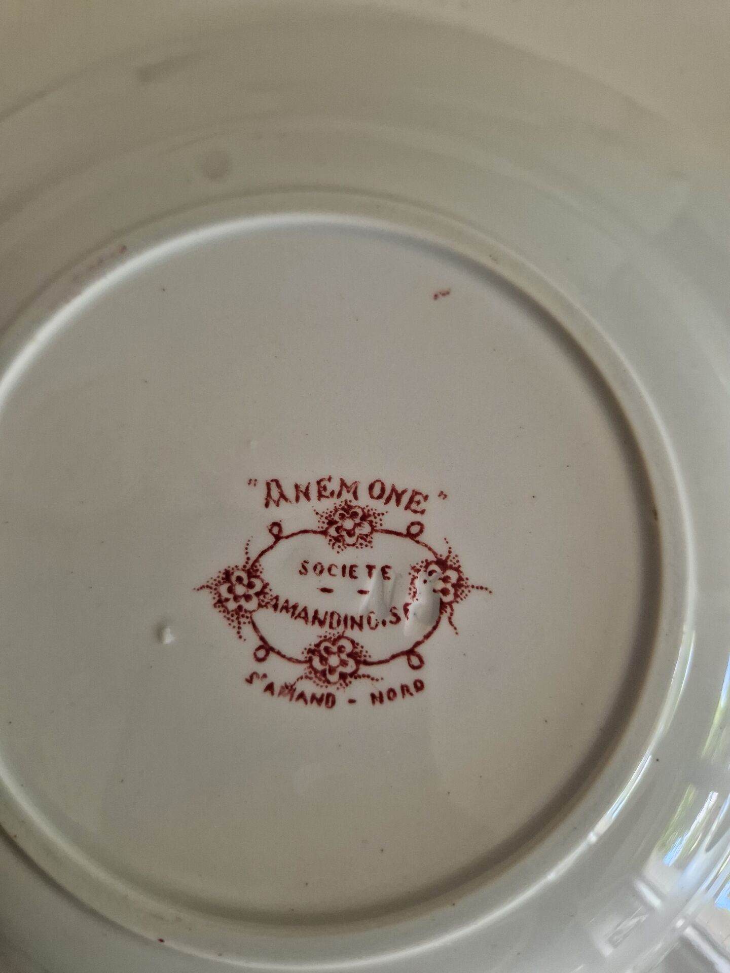 Set of 6 Deep Plates Saint Amand Terre De Fer Anemone Model Den