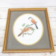 Reproduction of passerine birds by Murr ornithological board