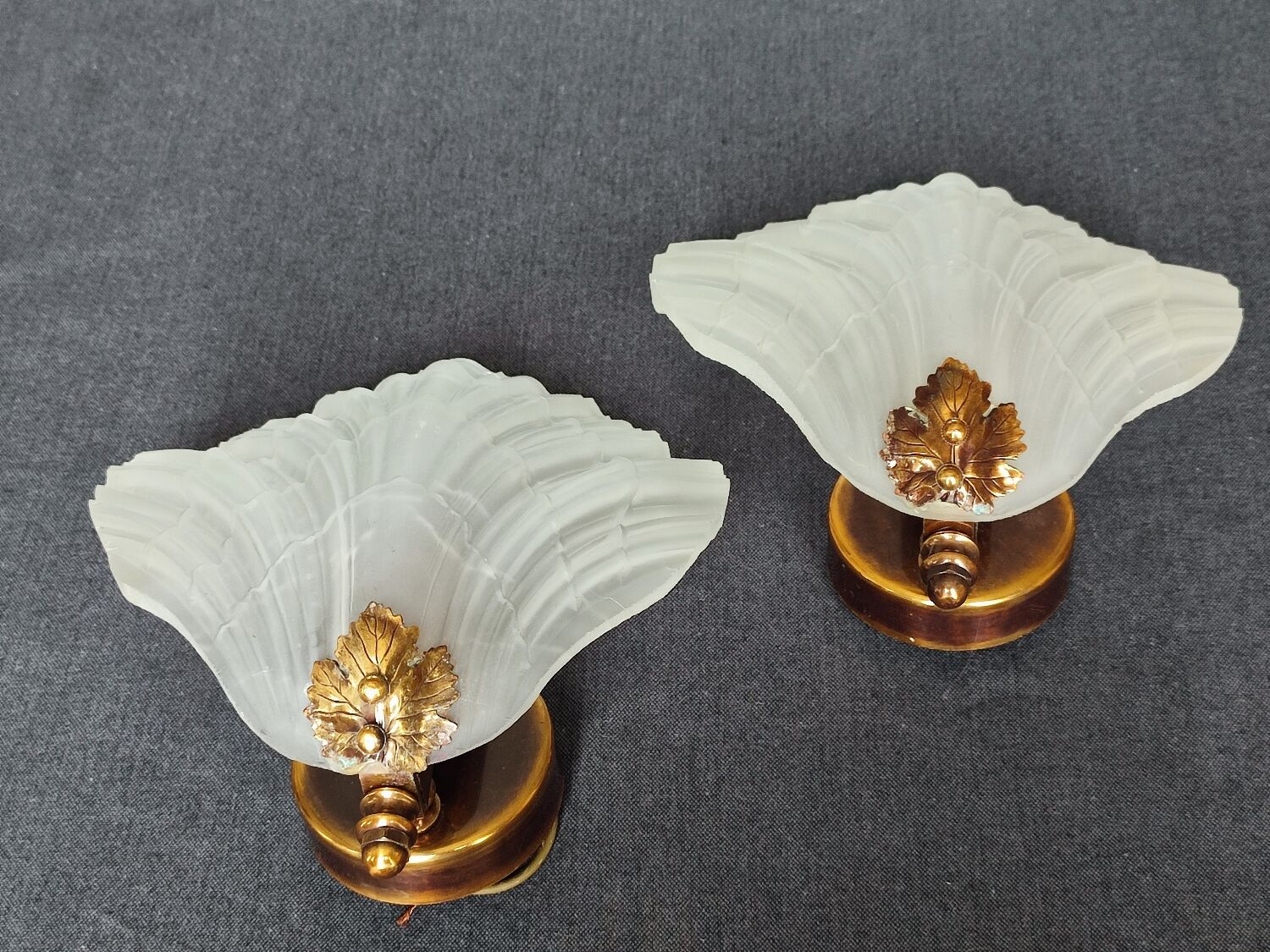 Pair of vintage shell wall lamp