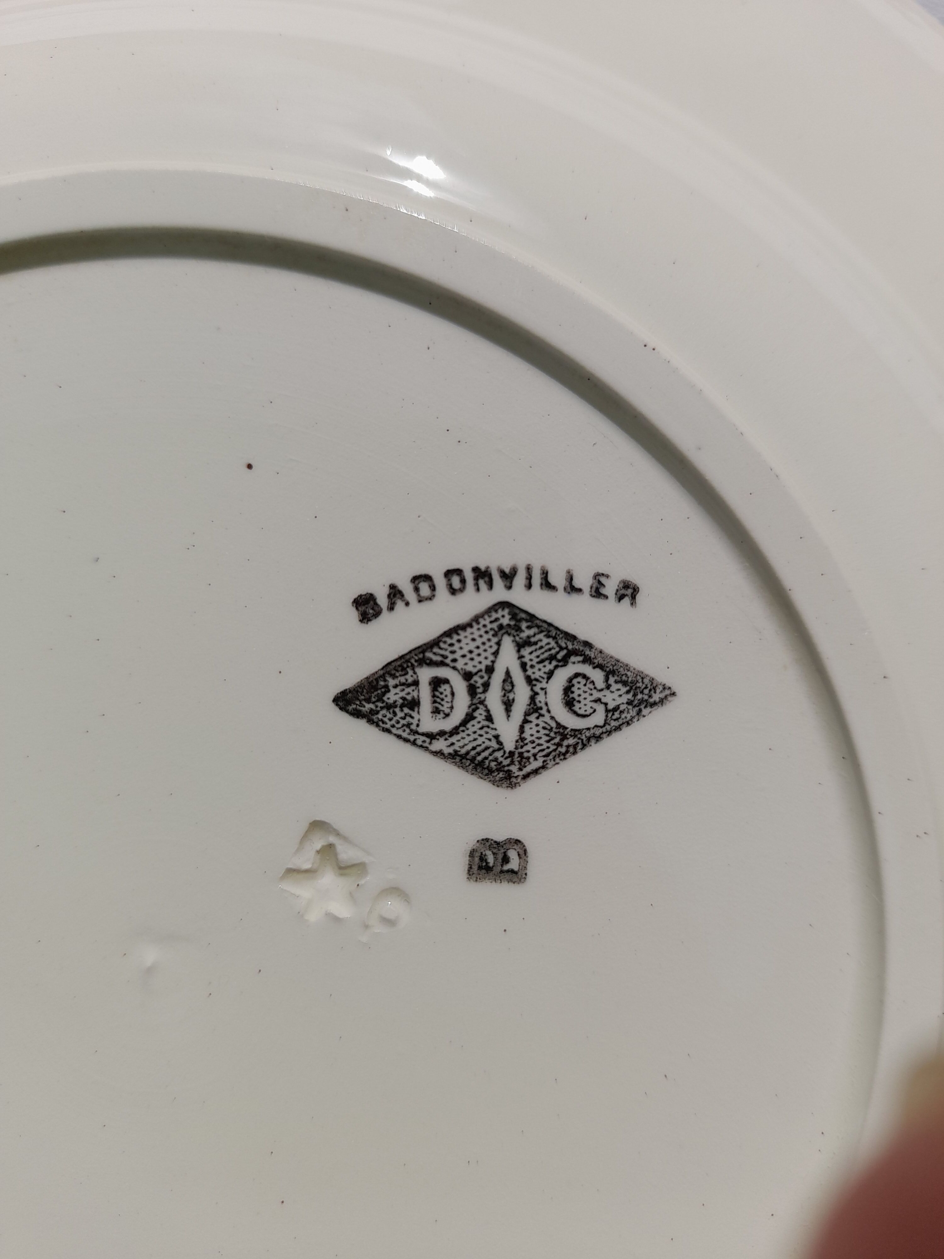 5 hollow plates in Badonviller earthenware model DOC diam 23.5 cm