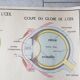 School poster Rossignol - taste and smell and the eye