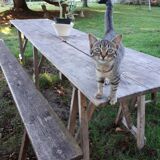 Ensemble vintage guinguette table avec 2 bancs