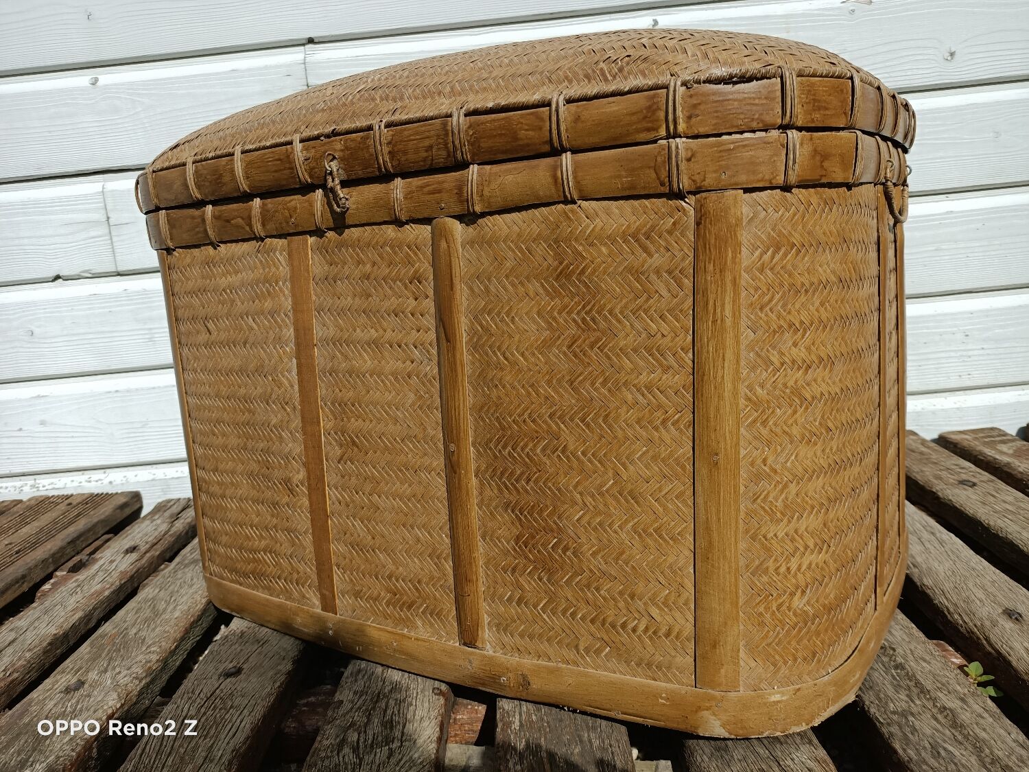 Old trunk rice straw