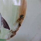 Plates Proceram fish 1950