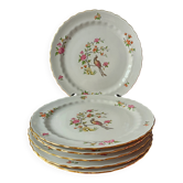 6 vintage flat plates, Vitriam porcelain from France, Phoenix pattern.