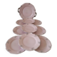 pink porcelain service Hass & Czjzek