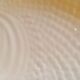 Plat poisson blanc