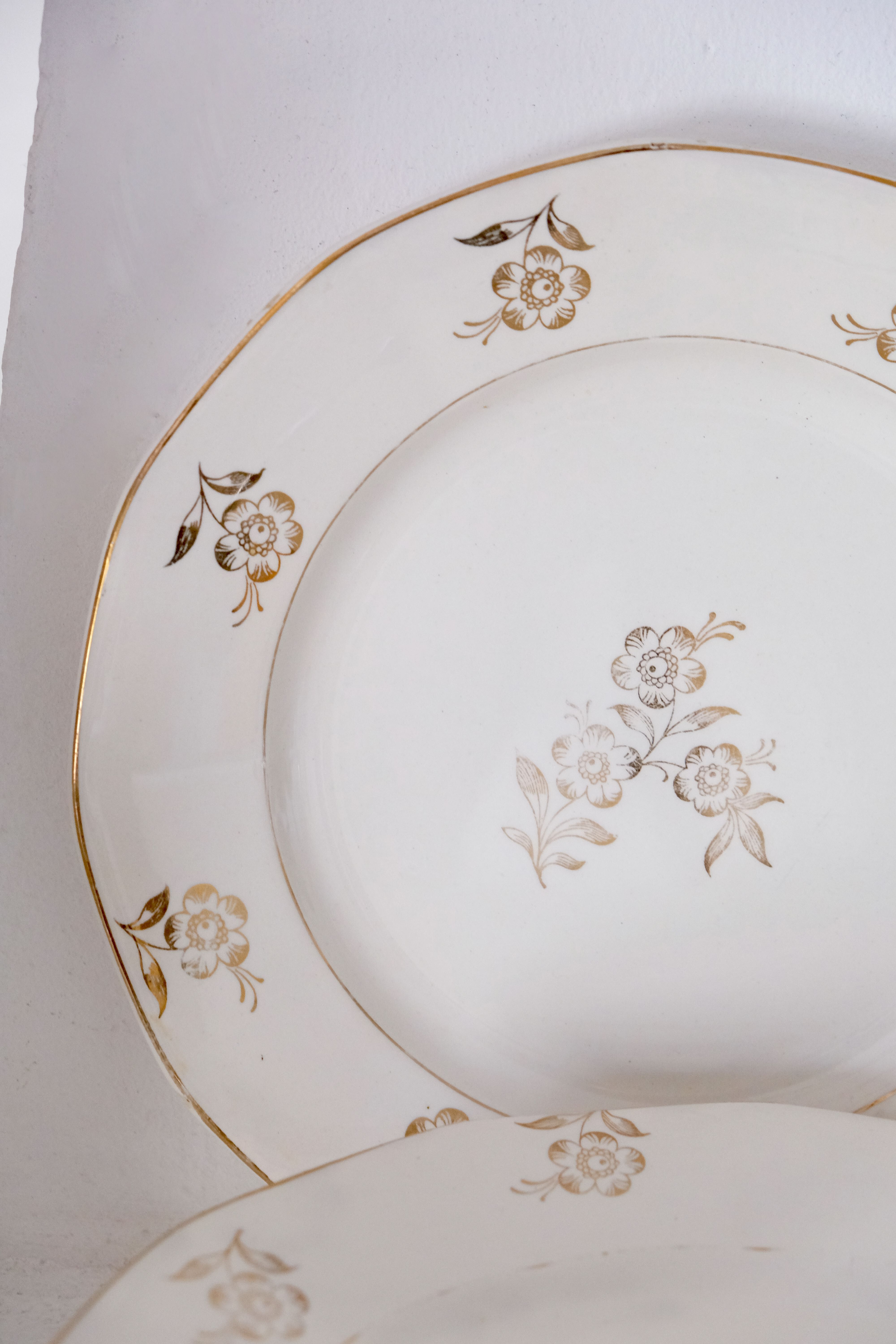 Set of opaque porcelain plates 'Raphael' from the French manufacturer Digoin-Sarreguemines