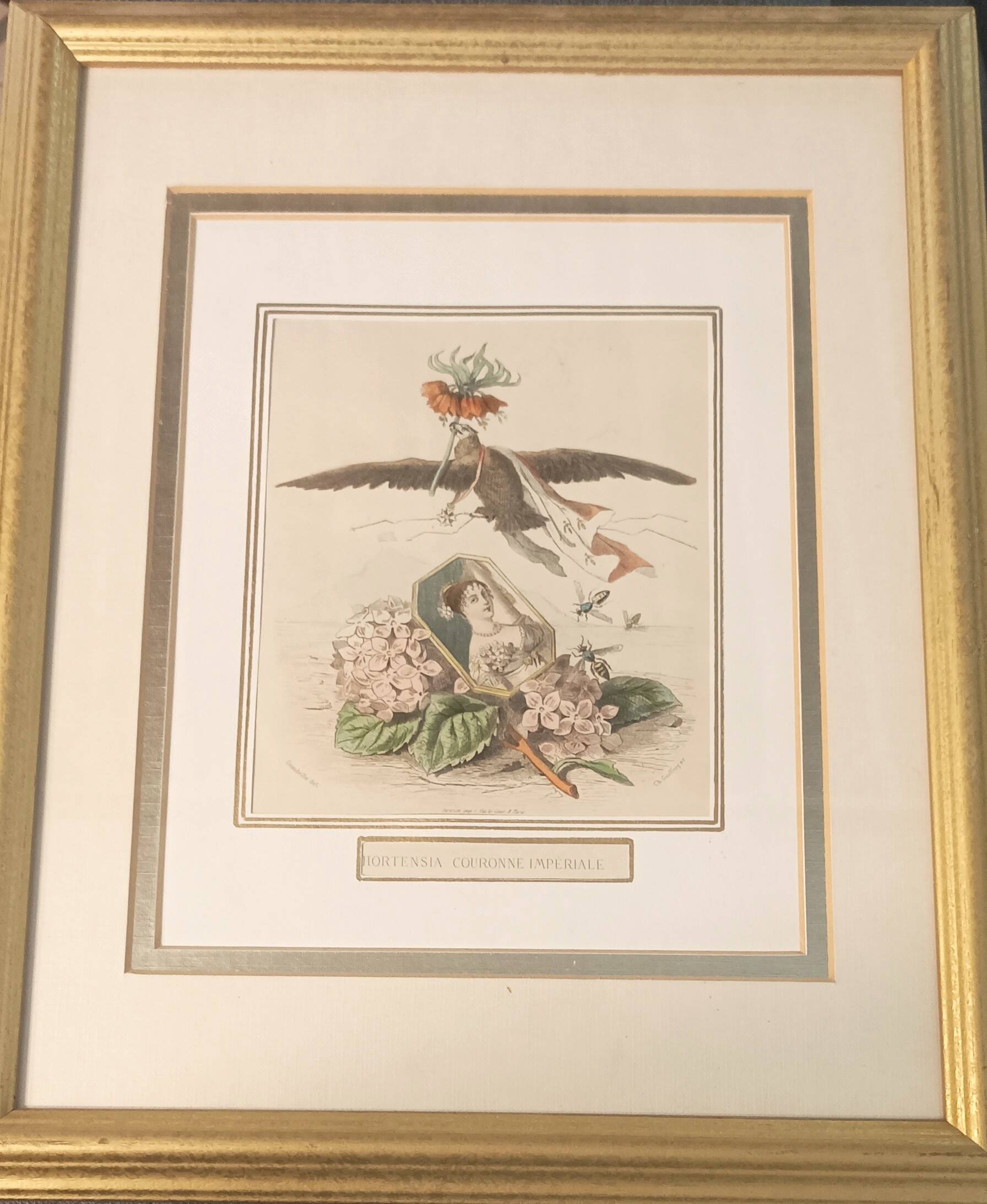 JJ Grandville Animated Flower Frame - Imperial Crown Hydrangea