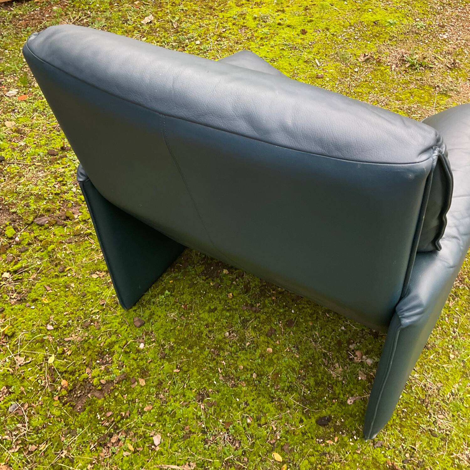 Fauteuil Bora Bora pour Leolux par Axel Enthoven