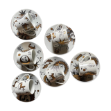 Set of 6 cups Piero Fornasetti Astronomici